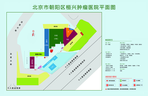 女生骚逼网站北京市朝阳区桓兴肿瘤医院平面图